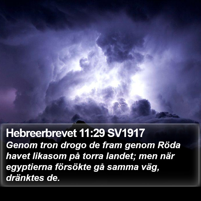 Hebreerbrevet 11:29 SV1917 Bible Study