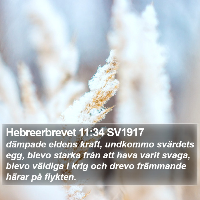 Hebreerbrevet 11:34 SV1917 Bible Study