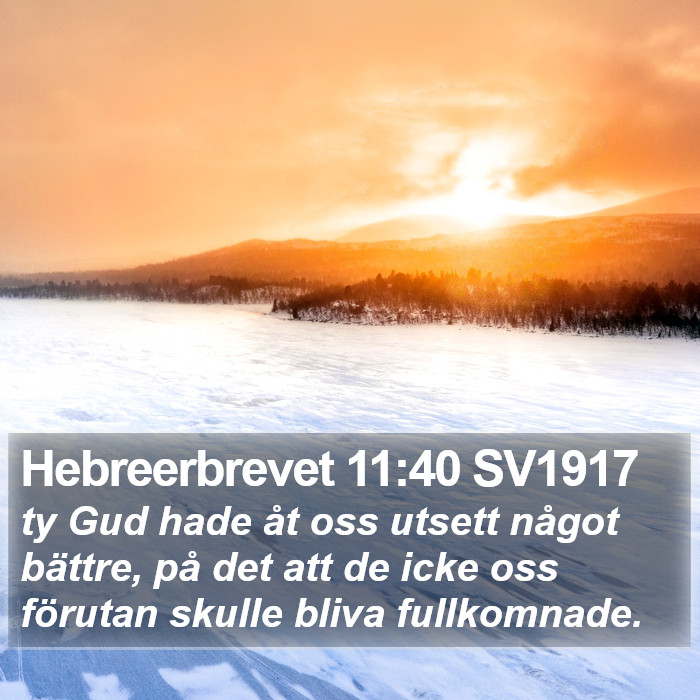 Hebreerbrevet 11:40 SV1917 Bible Study