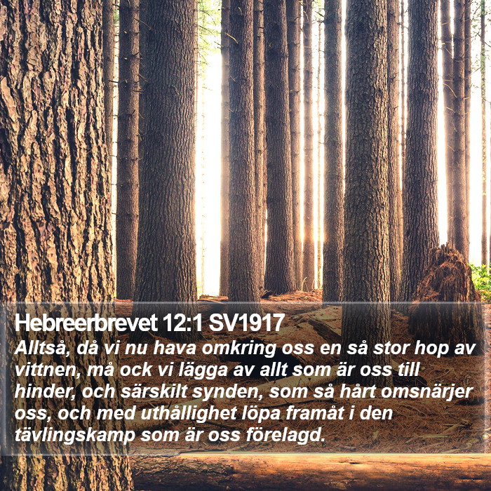 Hebreerbrevet 12:1 SV1917 Bible Study