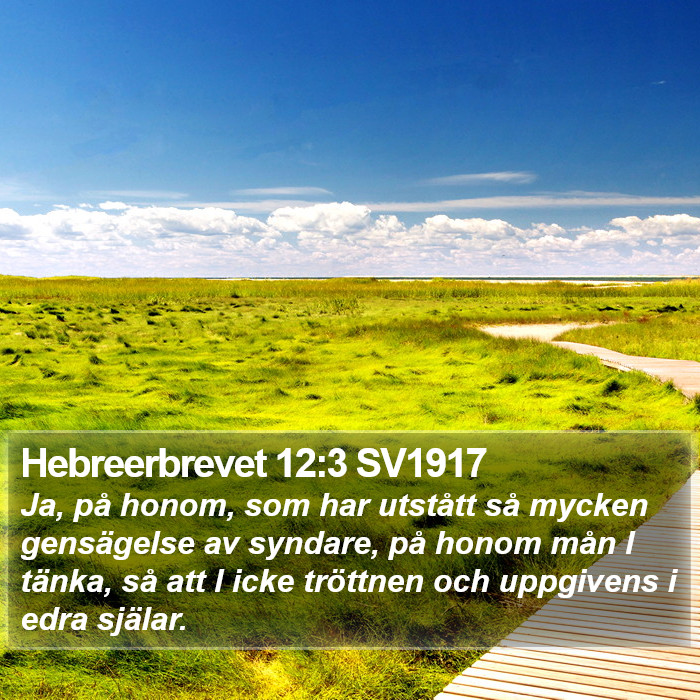 Hebreerbrevet 12:3 SV1917 Bible Study