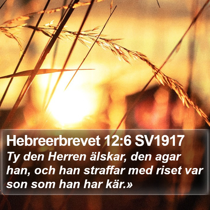 Hebreerbrevet 12:6 SV1917 Bible Study