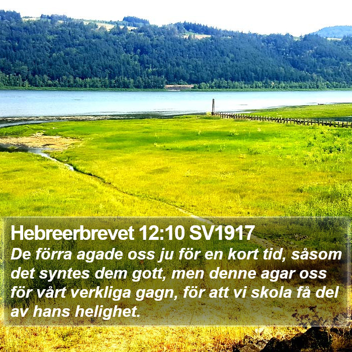 Hebreerbrevet 12:10 SV1917 Bible Study