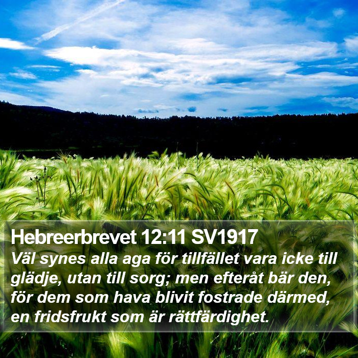 Hebreerbrevet 12:11 SV1917 Bible Study