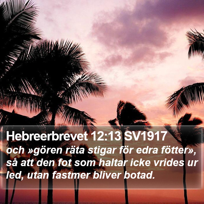 Hebreerbrevet 12:13 SV1917 Bible Study