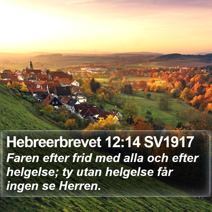 Hebreerbrevet 12:14 SV1917 Bible Study