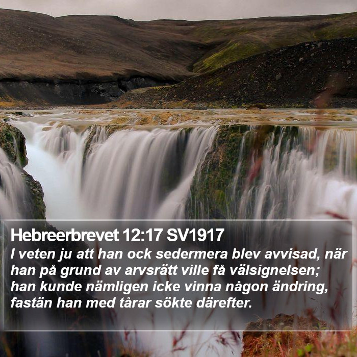 Hebreerbrevet 12:17 SV1917 Bible Study