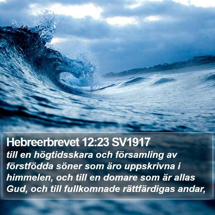 Hebreerbrevet 12:23 SV1917 Bible Study