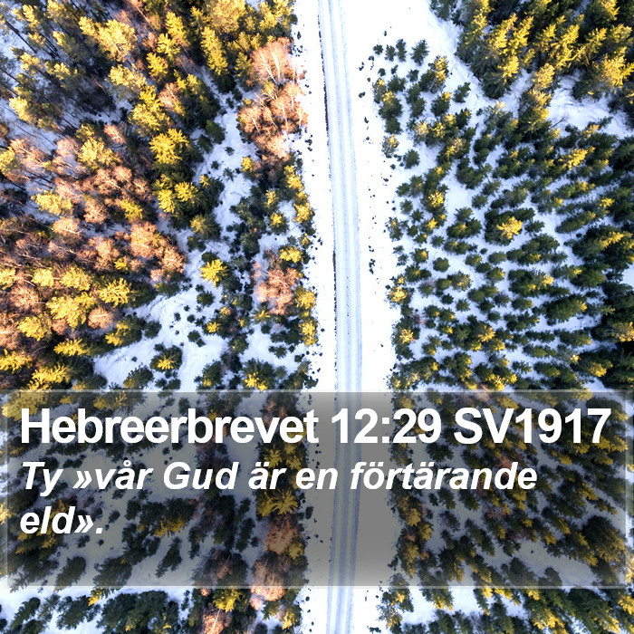 Hebreerbrevet 12:29 SV1917 Bible Study