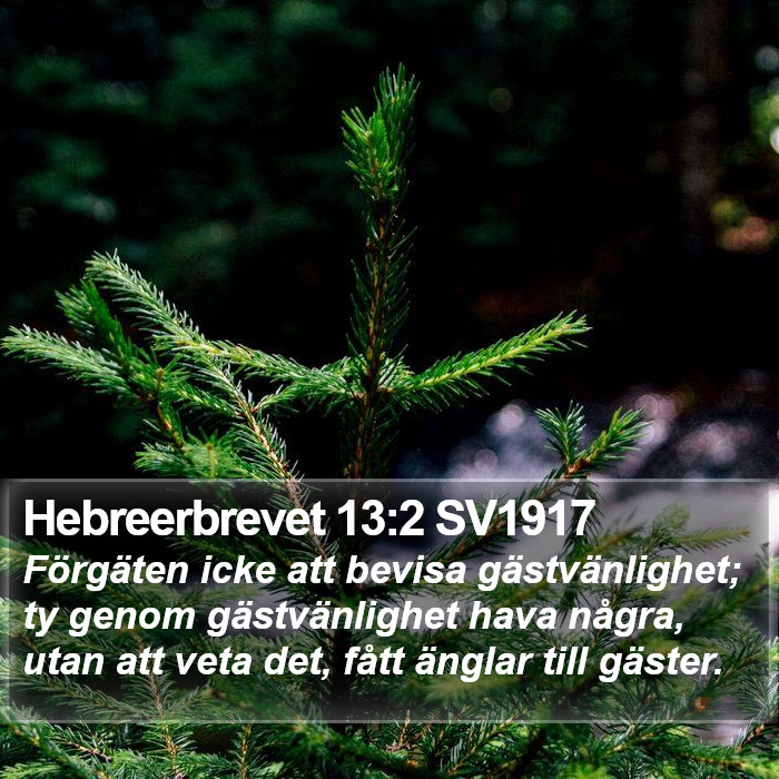 Hebreerbrevet 13:2 SV1917 Bible Study