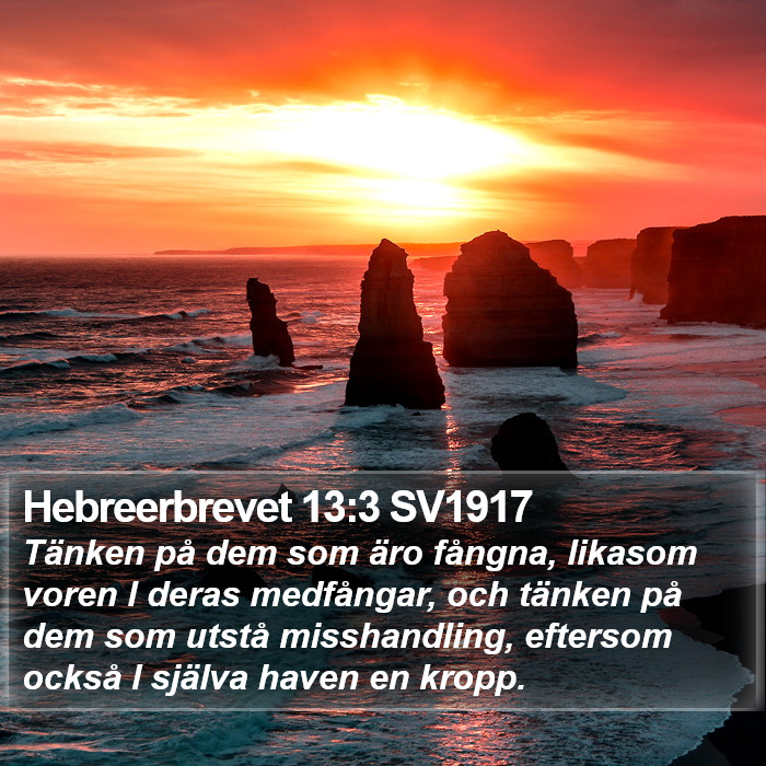 Hebreerbrevet 13:3 SV1917 Bible Study