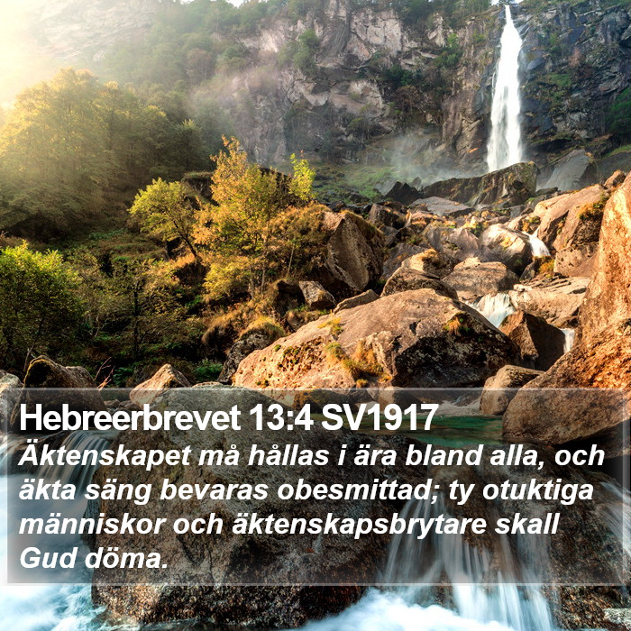 Hebreerbrevet 13:4 SV1917 Bible Study