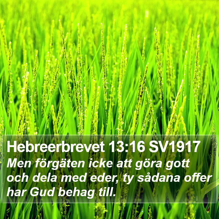 Hebreerbrevet 13:16 SV1917 Bible Study