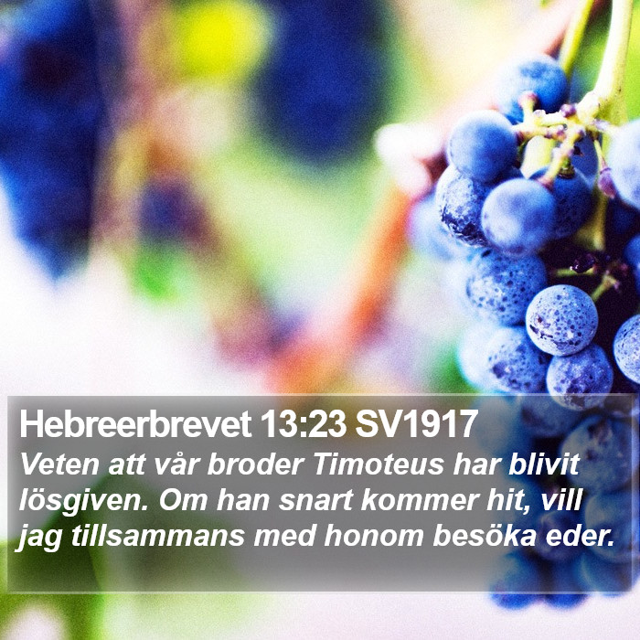 Hebreerbrevet 13:23 SV1917 Bible Study