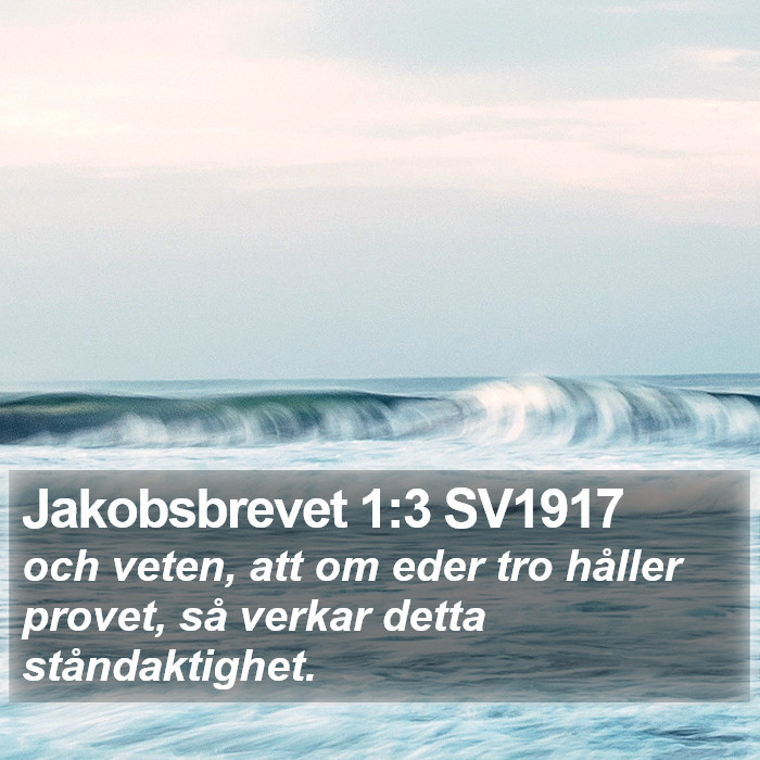 Jakobsbrevet 1:3 SV1917 Bible Study