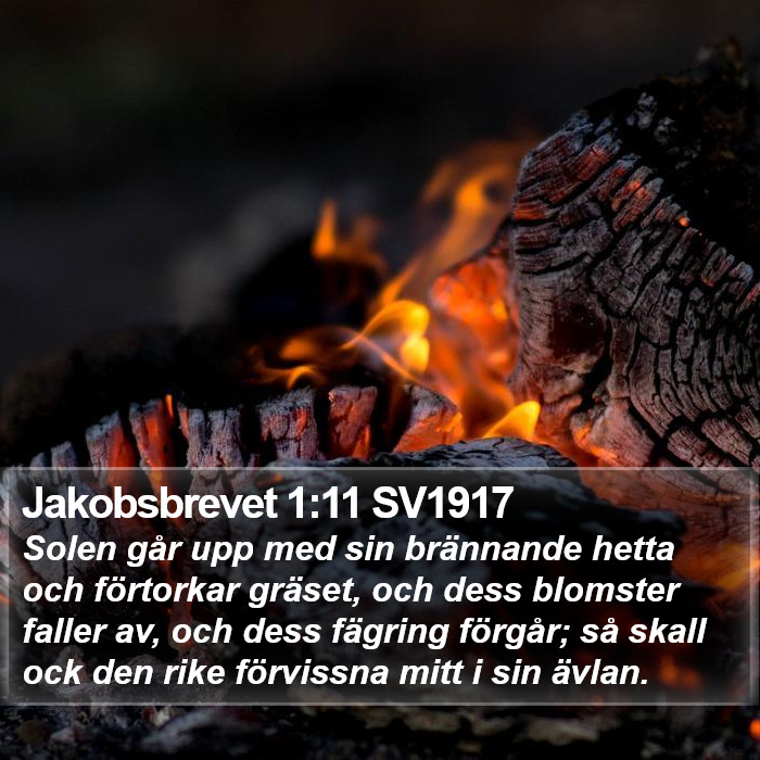 Jakobsbrevet 1:11 SV1917 Bible Study