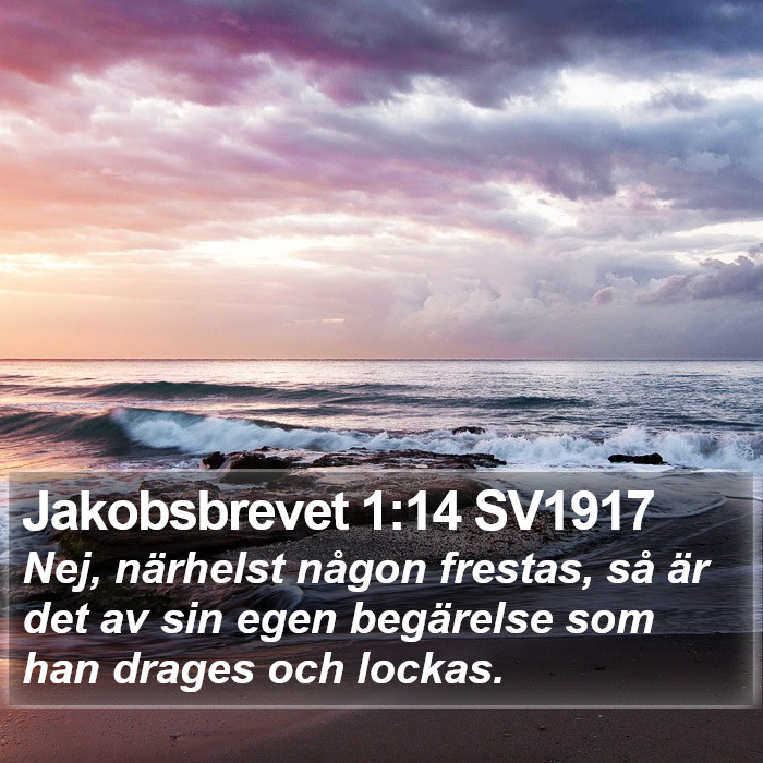 Jakobsbrevet 1:14 SV1917 Bible Study