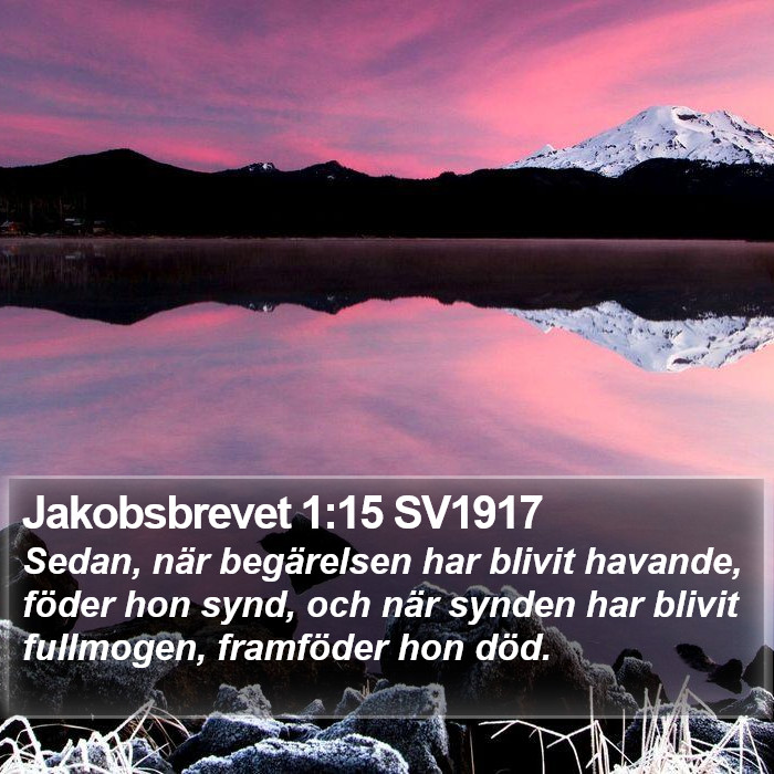 Jakobsbrevet 1:15 SV1917 Bible Study