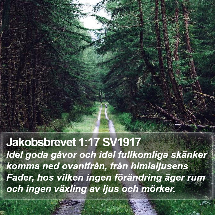 Jakobsbrevet 1:17 SV1917 Bible Study