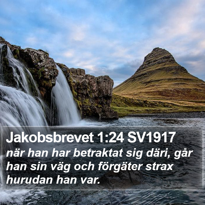 Jakobsbrevet 1:24 SV1917 Bible Study