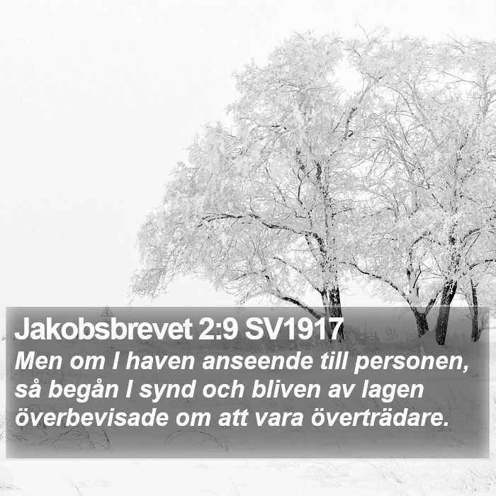 Jakobsbrevet 2:9 SV1917 Bible Study