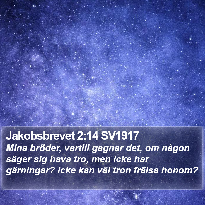 Jakobsbrevet 2:14 SV1917 Bible Study