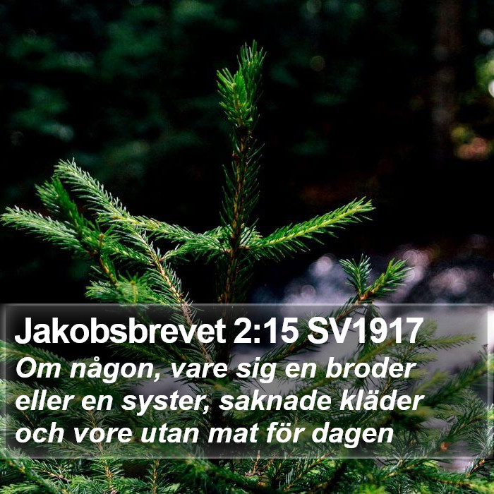 Jakobsbrevet 2:15 SV1917 Bible Study