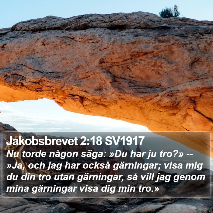 Jakobsbrevet 2:18 SV1917 Bible Study