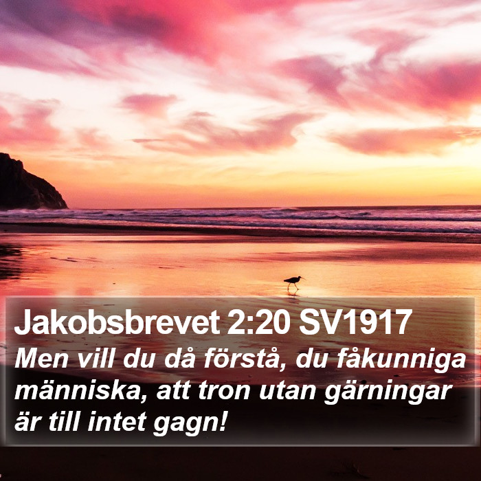 Jakobsbrevet 2:20 SV1917 Bible Study