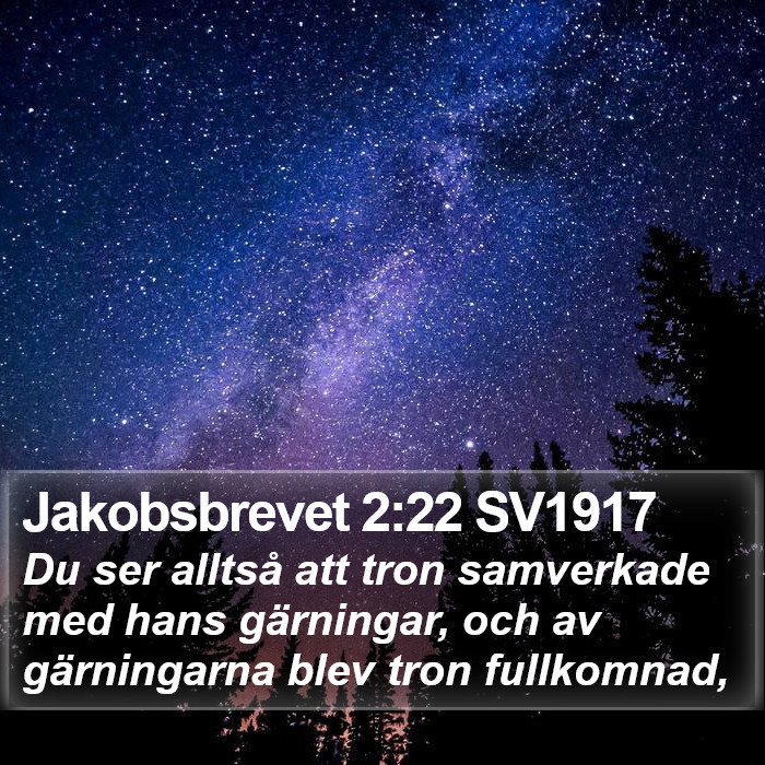 Jakobsbrevet 2:22 SV1917 Bible Study