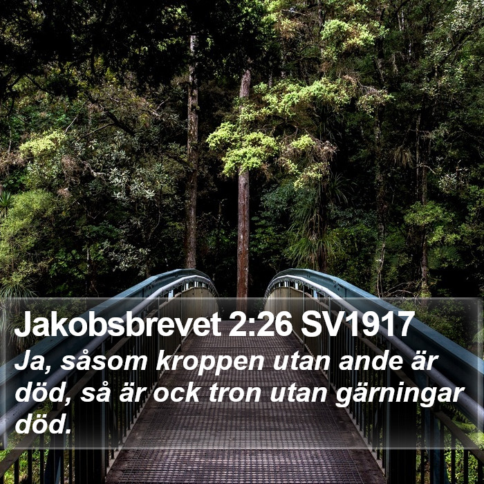 Jakobsbrevet 2:26 SV1917 Bible Study