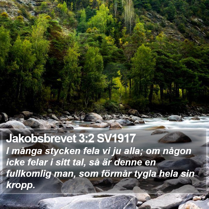 Jakobsbrevet 3:2 SV1917 Bible Study