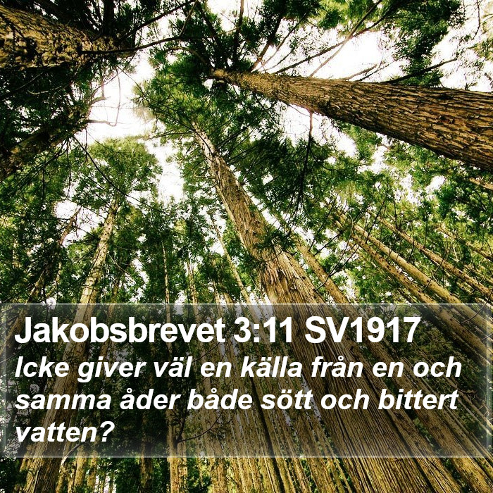 Jakobsbrevet 3:11 SV1917 Bible Study