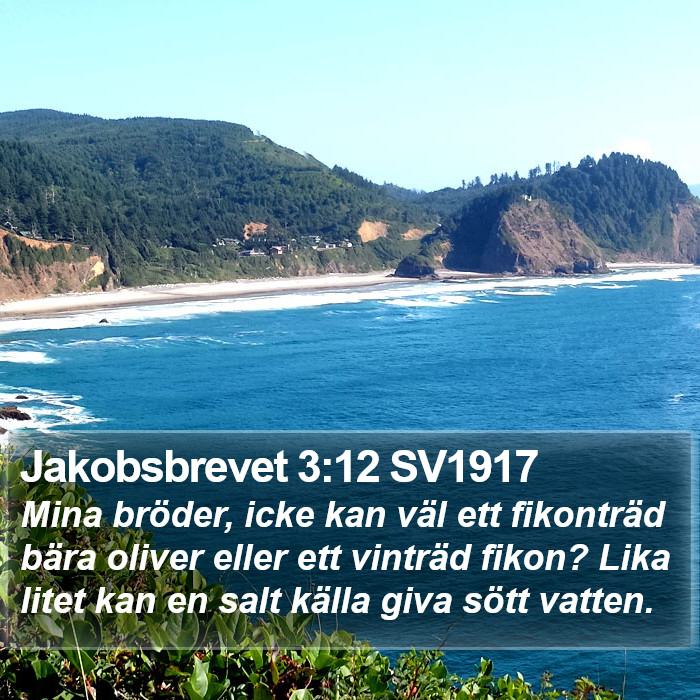 Jakobsbrevet 3:12 SV1917 Bible Study