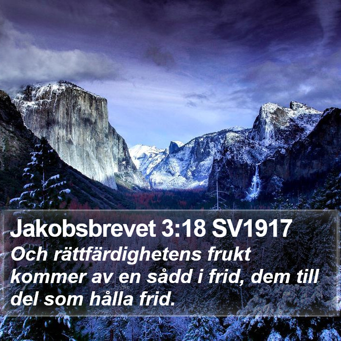 Jakobsbrevet 3:18 SV1917 Bible Study