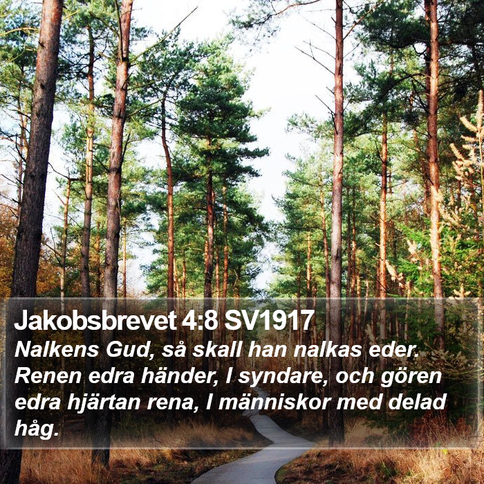 Jakobsbrevet 4:8 SV1917 Bible Study