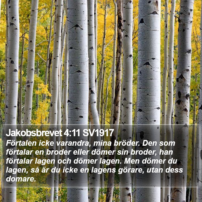 Jakobsbrevet 4:11 SV1917 Bible Study