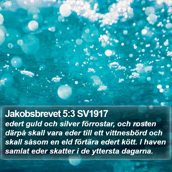 Jakobsbrevet 5:3 SV1917 Bible Study