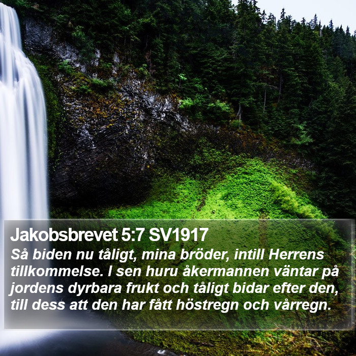 Jakobsbrevet 5:7 SV1917 Bible Study