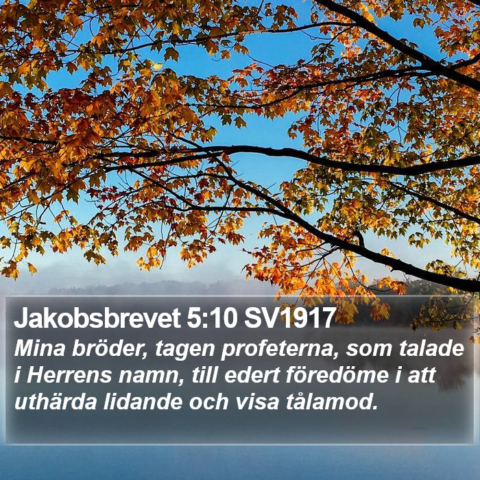 Jakobsbrevet 5:10 SV1917 Bible Study