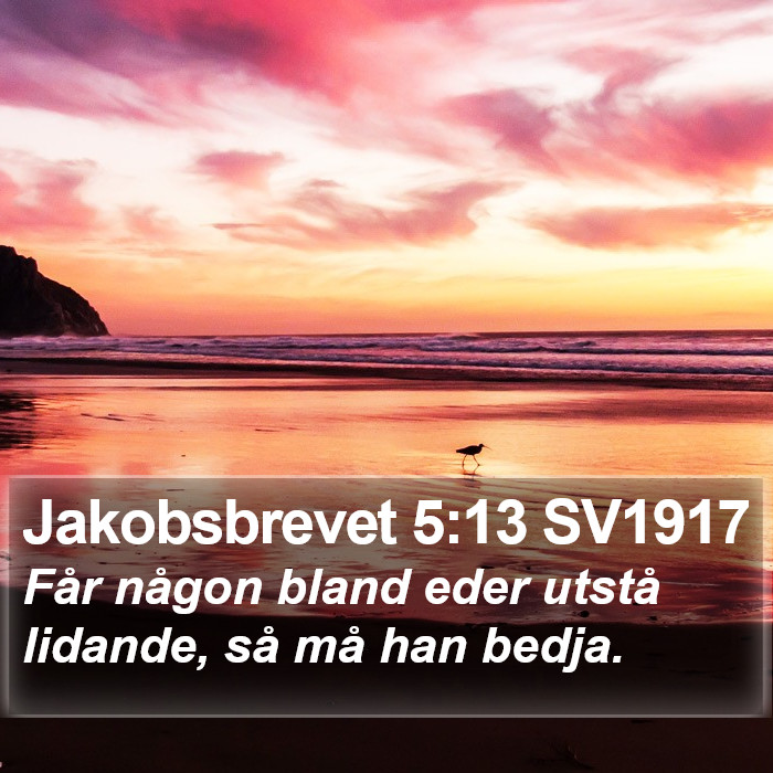 Jakobsbrevet 5:13 SV1917 Bible Study