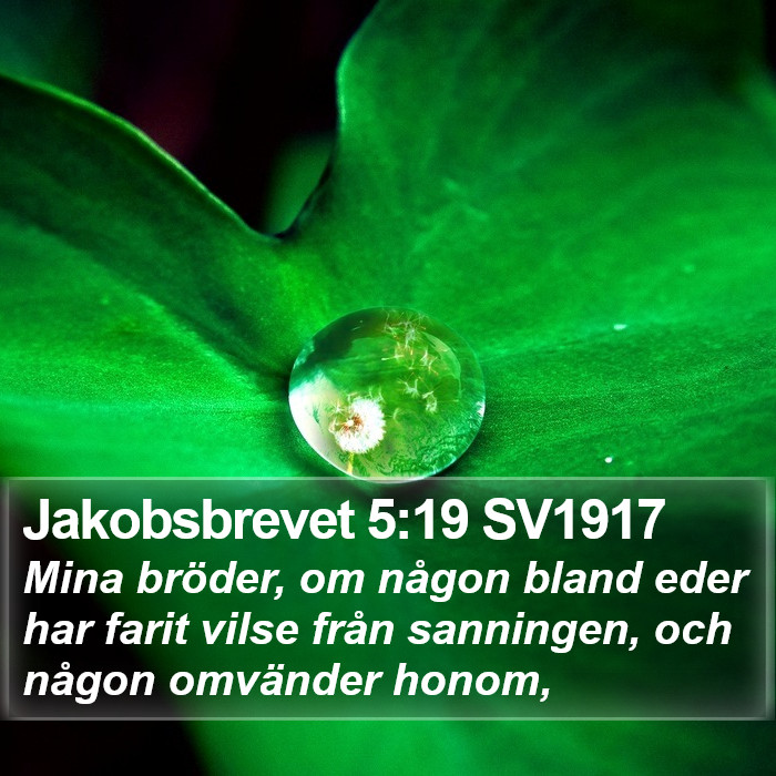 Jakobsbrevet 5:19 SV1917 Bible Study