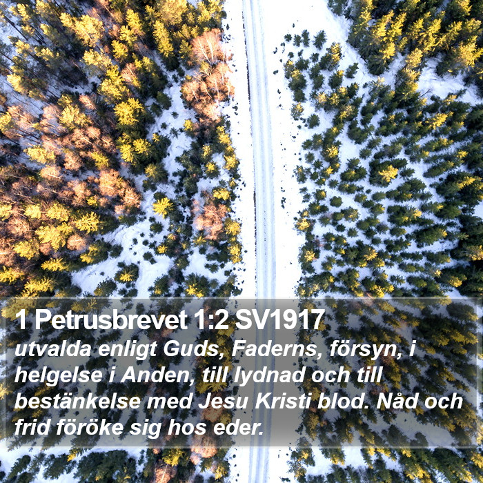 1 Petrusbrevet 1:2 SV1917 Bible Study