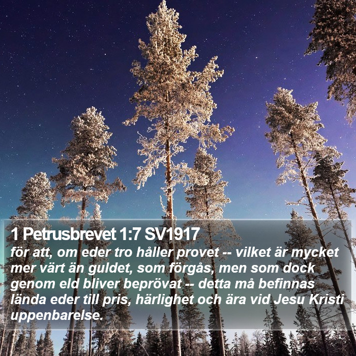 1 Petrusbrevet 1:7 SV1917 Bible Study