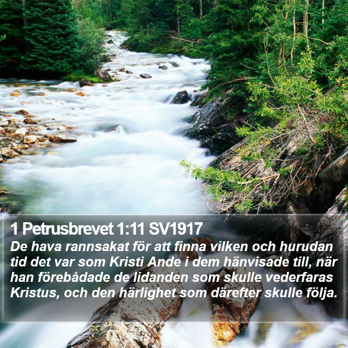 1 Petrusbrevet 1:11 SV1917 Bible Study