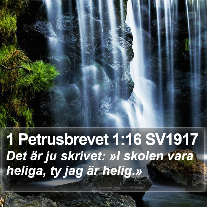 1 Petrusbrevet 1:16 SV1917 Bible Study