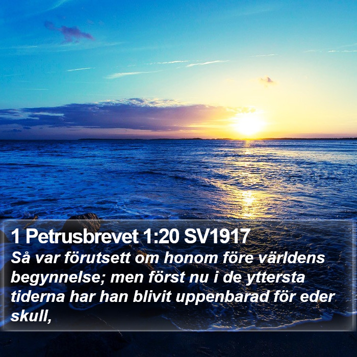 1 Petrusbrevet 1:20 SV1917 Bible Study