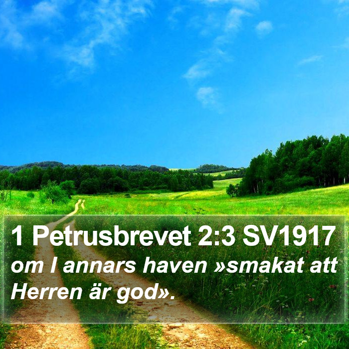 1 Petrusbrevet 2:3 SV1917 Bible Study