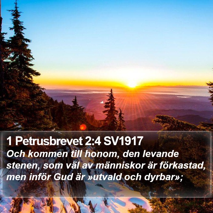 1 Petrusbrevet 2:4 SV1917 Bible Study