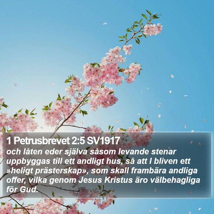 1 Petrusbrevet 2:5 SV1917 Bible Study